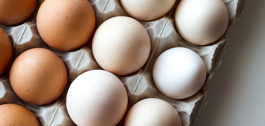 12 gezondheidsvoordelen van eieren 